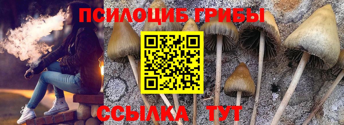 Галлюциногенные грибы GOLDEN TEACHER  Вход с VPN  купить наркоту  Петрозаводск 