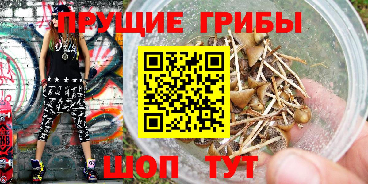 Псилоцибиновые грибы ЛСД Петрозаводск